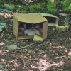 Illustration : Abandonn&eacute;s dans les broussailles, 6 chiens entass&eacute;s dans une bo&icirc;te en carton trouvent des mains bienveillantes pour commencer une nouvelle vie
