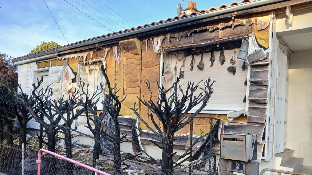 Illustration : "Dans la Vienne, une infirmière échappe à un incendie grâce à son chat qui la réveille en la griffant"