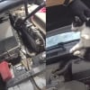 Illustration : Une automobiliste d&eacute;couvre 3 chatons cach&eacute;s dans son moteur et un policier sauve le dernier gr&acirc;ce &agrave; une baguette de batterie (vid&eacute;o)