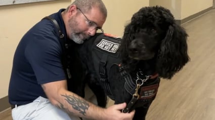 Illustration : Un ancien soldat atteint de stress post-traumatique retrouve une vie plus sereine et aide m&ecirc;me ses semblables gr&acirc;ce &agrave; son chien d'assistance