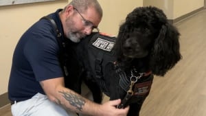 Illustration : Un ancien soldat atteint de stress post-traumatique retrouve une vie plus sereine et aide même ses semblables grâce à son chien d'assistance