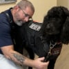 Illustration : Un ancien soldat atteint de stress post-traumatique retrouve une vie plus sereine et aide m&ecirc;me ses semblables gr&acirc;ce &agrave; son chien d'assistance