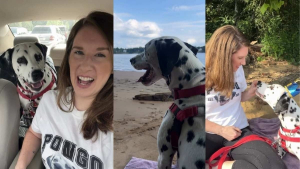 Illustration : Elle renonce à aller à la plage pour sauver un Dalmatien errant épuisé par la chaleur et en faire son meilleur ami (vidéo)