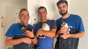 Illustration : « Merci du plus profond de notre cœur », une généreuse entreprise sauve les chats de ce refuge des Pyrénées-Orientales (66) de la chaleur