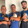 Illustration : &laquo; Merci du plus profond de notre c&oelig;ur &raquo;, une g&eacute;n&eacute;reuse entreprise sauve les chats de ce refuge des Pyr&eacute;n&eacute;es-Orientales (66) de la chaleur