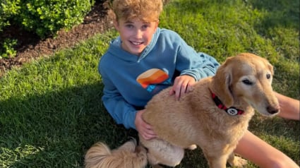 Illustration : Un chien alerte son jeune ma&icirc;tre en grattant avec insistance &agrave; la fen&ecirc;tre et permet le sauvetage d&rsquo;un caneton pi&eacute;g&eacute; (vid&eacute;o)