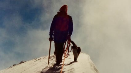 Illustration : 33 ans apr&egrave;s la mort de ce chat qui avait gravi les sommets des Alpes suisses, sa l&eacute;gende ne cesse de perdurer
