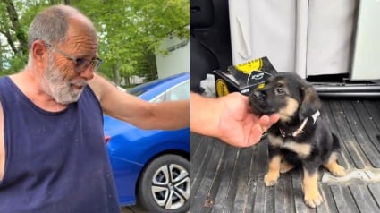 Illustration : L'&eacute;motion silencieuse d'un homme rencontrant sa nouvelle amie canine apr&egrave;s qu'un cancer a emport&eacute; son pr&eacute;c&eacute;dent chien (vid&eacute;o)