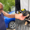 Illustration : L'&eacute;motion silencieuse d'un homme rencontrant sa nouvelle amie canine apr&egrave;s qu'un cancer a emport&eacute; son pr&eacute;c&eacute;dent chien (vid&eacute;o)