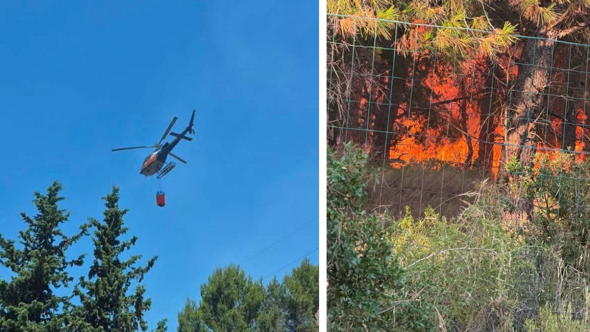 Illustration : "Un appel à la solidarité est lancé par un refuge pour animaux de Provence-Alpes-Côte d’Azur ravagé par un violent incendie"