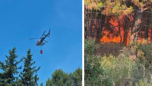 Illustration : Un appel à la solidarité est lancé par un refuge pour animaux de Provence-Alpes-Côte d’Azur ravagé par un violent incendie