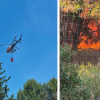 Illustration : Un appel &agrave; la solidarit&eacute; est lanc&eacute; par un refuge pour animaux de Provence-Alpes-C&ocirc;te d&rsquo;Azur ravag&eacute; par un violent incendie