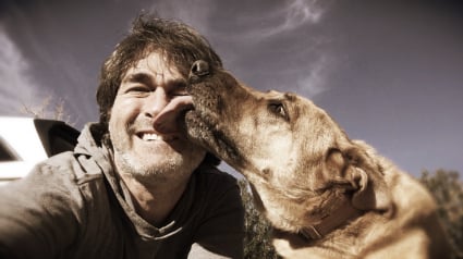 Illustration : Pourquoi votre chien vous l&egrave;che-t-il le visage quand vous pleurez ?