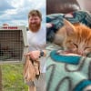 Illustration : Pi&eacute;g&eacute; dans un &eacute;gout pluvial, un chaton est adopt&eacute; par une famille seulement quelques heures apr&egrave;s son sauvetage