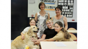 Illustration : Dans un collège d'Alsace, une chienne Golden Retriever d'assistance redonne envie de travailler aux élèves et de se sentir valorisés