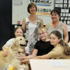 Illustration : Dans un coll&egrave;ge d'Alsace, une chienne Golden Retriever d'assistance redonne envie de travailler aux &eacute;l&egrave;ves et de se sentir valoris&eacute;s