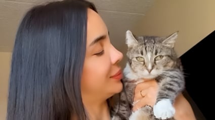 Illustration : Apr&egrave;s lui avoir rendu visite tous les jours pendant un an, une b&eacute;n&eacute;vole gagne la confiance d'une chatte s&eacute;niore errante et l'adopte
