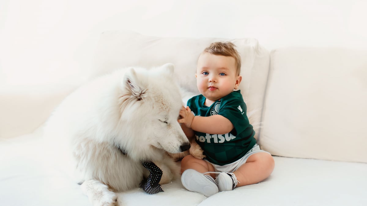 Illustration : "Impliquée depuis la naissance, cette chienne devient très protectrice avec le nouveau bébé de la famille (vidéo)"
