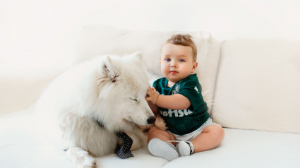 Illustration : Impliqu&eacute;e depuis la naissance, cette chienne devient tr&egrave;s protectrice avec le nouveau b&eacute;b&eacute; de la famille (vid&eacute;o)