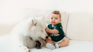 Illustration : Impliquée depuis la naissance, cette chienne devient très protectrice avec le nouveau bébé de la famille (vidéo)