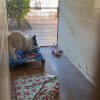 Illustration : Stress&eacute; par son deuxi&egrave;me s&eacute;jour au refuge, ce chien donne le sourire &agrave; une b&eacute;n&eacute;vole en s'amusant avec un jouet pour la premi&egrave;re fois depuis son arriv&eacute;e (vid&eacute;o)