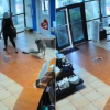 Illustration : Abandonn&eacute; par sa ma&icirc;tresse dans le hall d'un refuge, ce chien reprend confiance gr&acirc;ce aux b&eacute;n&eacute;voles qui veillent sur lui (vid&eacute;o)