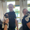 Illustration : &laquo; Il s'ennuyait &raquo;, 2 chats retir&eacute;s &agrave; leur propri&eacute;taire apr&egrave;s la diffusion en ligne de vid&eacute;os de maltraitance &agrave; Maubeuge (59)
