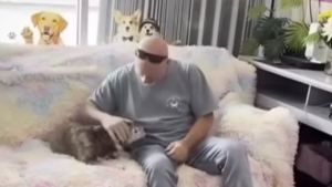 Illustration : Un homme retrouve le chien de son père décédé après 10 ans de séparation (vidéo)