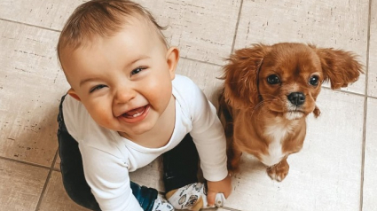 Illustration : 15 photos de chiens et de b&eacute;b&eacute;s qui semblent &ecirc;tre meilleurs amis depuis toujours
