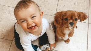 Illustration : 15 photos de chiens et de b&eacute;b&eacute;s qui semblent &ecirc;tre meilleurs amis depuis toujours