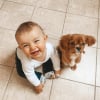 Illustration : 15 photos de chiens et de b&eacute;b&eacute;s qui semblent &ecirc;tre meilleurs amis depuis toujours