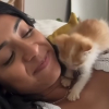 Illustration : Un couple en vacances qui n'a jamais eu l'intention d'avoir un chat change d'avis en rencontrant un chaton compl&egrave;tement tremp&eacute;