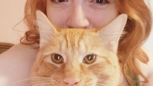 Illustration : "10 photos de chats roux assortis à leur adoptant"