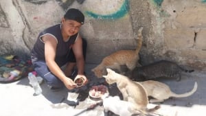 Illustration : Dans une ville meurtrie par la guerre, un enfant consacre ses journées à aider les animaux abandonnés (vidéo)