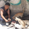 Illustration : Dans une ville meurtrie par la guerre, un enfant consacre ses journ&eacute;es &agrave; aider les animaux abandonn&eacute;s (vid&eacute;o)