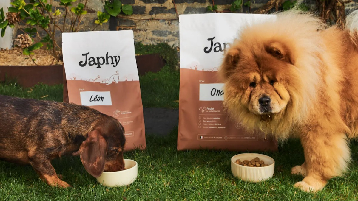 Illustration : "Entretien avec Japhy : « Beaucoup de propriétaires se sentent perdus », les 3 pièges à éviter pour bien nourrir son chien ou son chat"