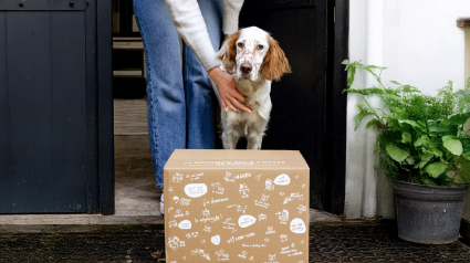 Illustration : Pourquoi opter pour un abonnement de croquettes pour son chien ou son chat ? L'exemple de Japhy