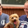 Illustration : Asperg&eacute;s d&rsquo;essence, une chienne et 8 chatons sont retrouv&eacute;s par des sauveteurs en pleine canicule (vid&eacute;o)
