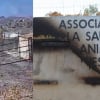 Illustration : Une trentaine de chiens &eacute;vacu&eacute;s en urgence d'un refuge roussillonnais d&eacute;vast&eacute; par un feu de for&ecirc;t, une cagnotte solidaire ouverte pour sa reconstruction