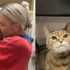 Illustration : A 17 ans et venant de perdre sa ma&icirc;tresse, cette chatte de refuge esp&egrave;re encore une seconde chance (vid&eacute;o)