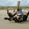 Illustration : 5 conseils pour pr&eacute;parer sereinement vos vacances avec votre chien