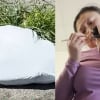 Illustration : Jet&eacute;s dans un sac poubelle en plein soleil ces 4 chatons sont biberonn&eacute;s par leur sauveuse