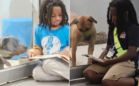Ce garçon de 11 ans est félicité après avoir consacré 100 heures de lecture pour apaiser les chiens de refuge