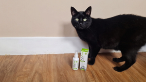 Illustration : Avis PetsCool Spray : notre test pour d&eacute;tendre un chat stress&eacute; par une visite chez le v&eacute;t&eacute;rinaire