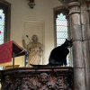 Illustration : Ce chat a &eacute;lu domicile dans une &eacute;glise vieille de plusieurs si&egrave;cles et il en est devenu la meilleure publicit&eacute; (vid&eacute;o)