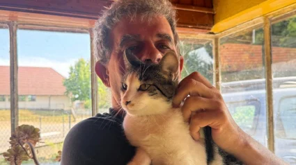 Illustration : &laquo; On le cherchait dans le jardin, mais il &eacute;tait dans une voiture &raquo;, apr&egrave;s avoir fui le refuge, un chat est adopt&eacute; par son sauveur