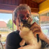 Illustration : &laquo; On le cherchait dans le jardin, mais il &eacute;tait dans une voiture &raquo;, apr&egrave;s avoir fui le refuge, un chat est adopt&eacute; par son sauveur