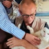 Illustration : &Acirc;g&eacute; de 12 ans et sourd, ce chat absent depuis 9 mois vient de retrouver les siens gr&acirc;ce &agrave; sa puce &eacute;lectronique 