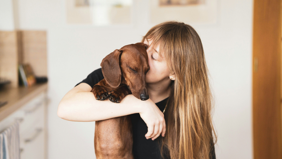 Illustration : "Symbiose : une étude révèle que le microbiote de votre chien se synchronise avec le vôtre"