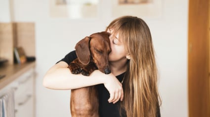 Illustration : Symbiose : une &eacute;tude r&eacute;v&egrave;le que le microbiote de votre chien se synchronise avec le v&ocirc;tre